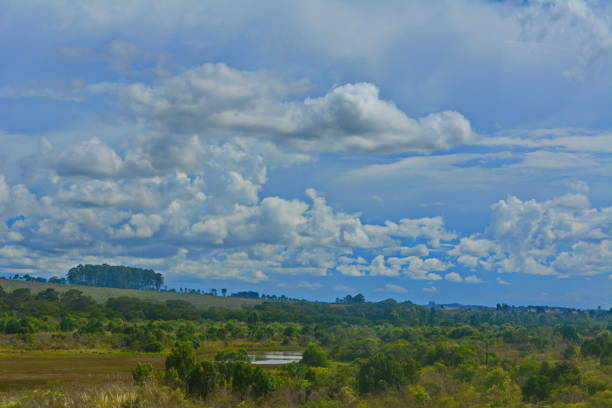 Landscapes of Paraná Beautiful landscapes in the state of Paraná, on a trip I made to Ponta Grossa, in the interior of Paraná. Photo taken between 09/03/2019. screen saver photos stock pictures, royalty-free photos & images