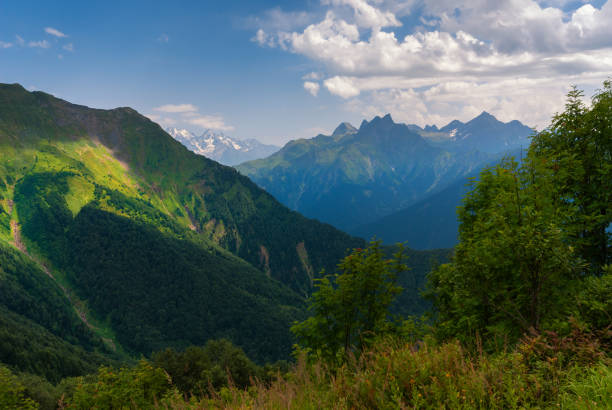 istock Beautiful Idyllic summer landscape in the caucasus mountains 1263033148