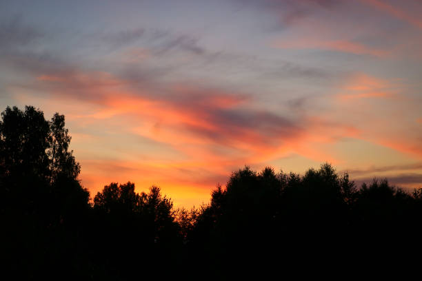 istock Colorful sunset over deciduous forest. Summer landscape. 1263035412