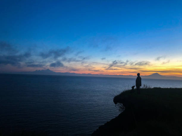 istock Where the land meets the sea 1263035792