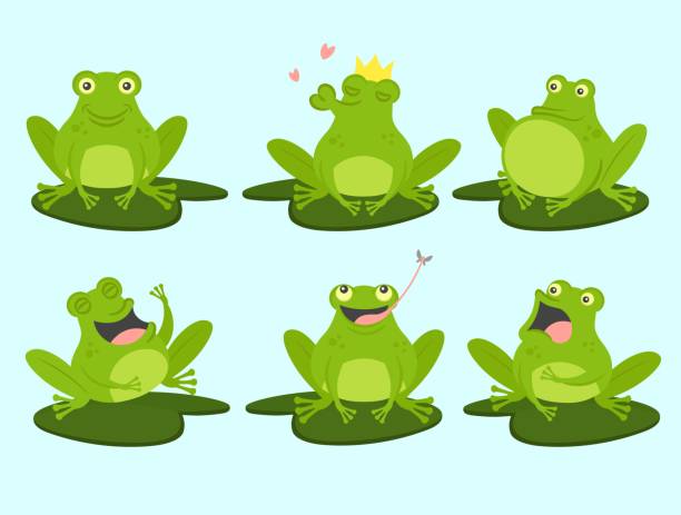 귀여운 만화 개구리 세트. 귀엽고, 삐걱거리는, 사랑에, 웃음, 두려움, 배고픈. 벡터 그림입니다. - frog jumping pond water lily stock illustrations