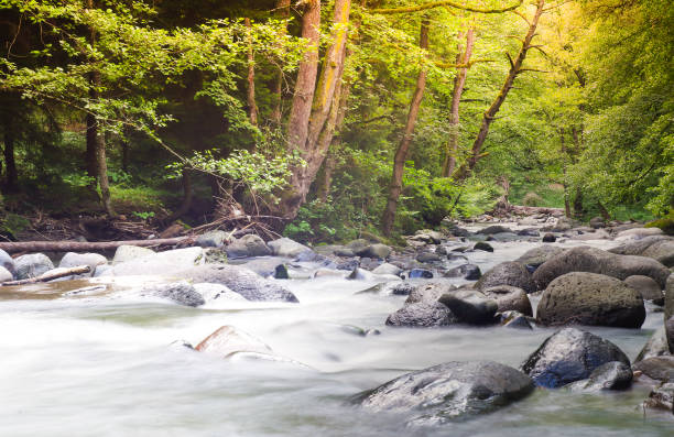 istock Mountain river at long exposure. Georgia. 1263037341