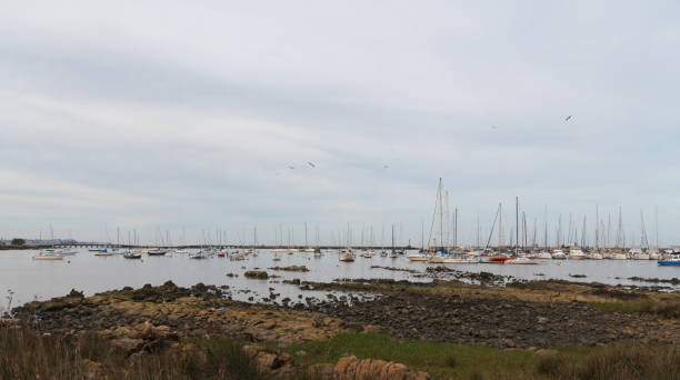 istock big and small boats in marina 1263039025