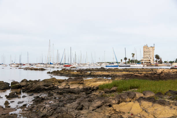 istock big and small boats in marina 1263039040