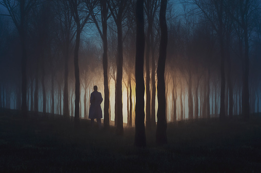 Mysterious lights in the forest at night with woman standing between the trees.