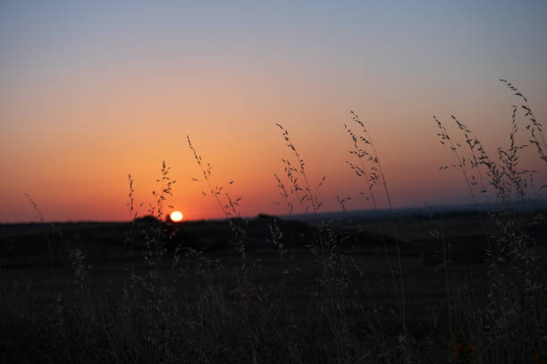 istock Sunrise in the field in summer. 1263043629