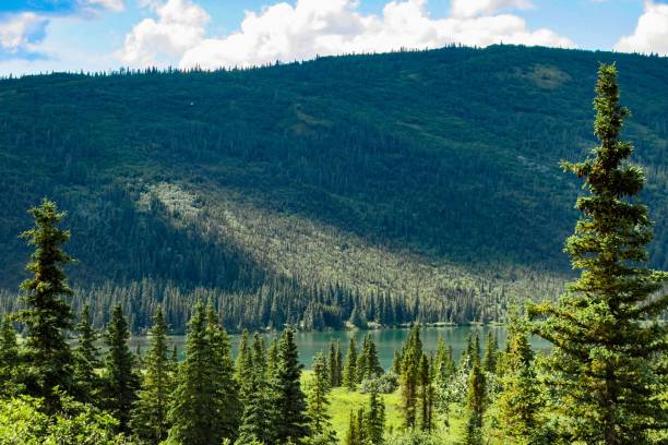 istock The Wonderful Wonder Lake 1263052002