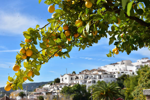 istock a white village, Andalusia, Spain 1263052887