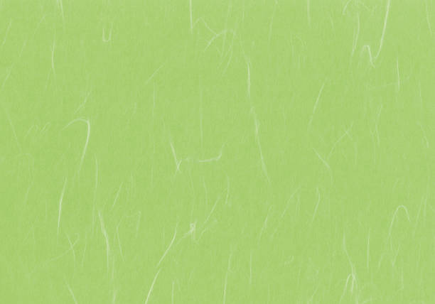 istock Green texture of Japanese paper 1263053698