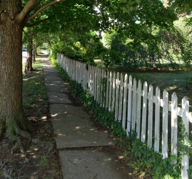 istock Shady sidewalk with white picket fence 1263054462