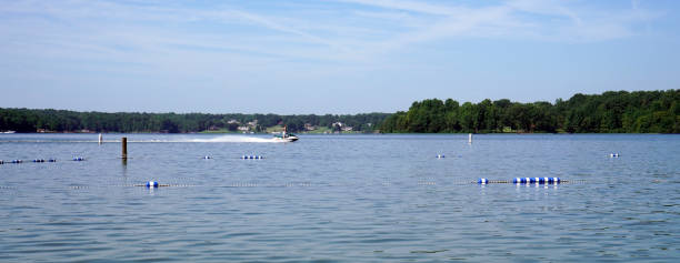 istock Summer lake with sky trees 1263054483