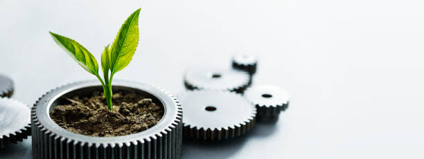 Sustainable Development Metal gears with little plant on white background. concept stock pictures, royalty-free photos & images