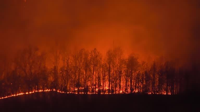 Wildfire on the mountain at night