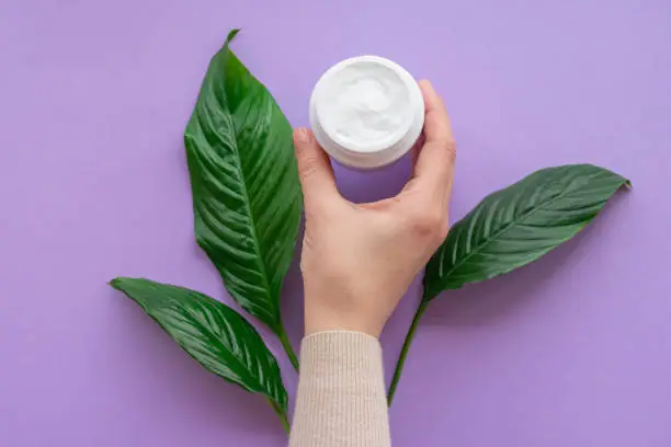 Girls hand is nearby jar with white soft hand and body cream on purple background with large green leaves.Concept of eco cosmetic.Girl is moisturizing her hand by cream as beauty procedure at home.