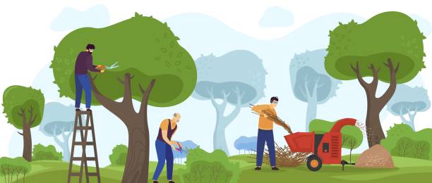 202 Tree Cutting Machine Illustrations & Clip Art - iStock 202 Tree Cutting Machine Illustrations & Clip Art - iStock