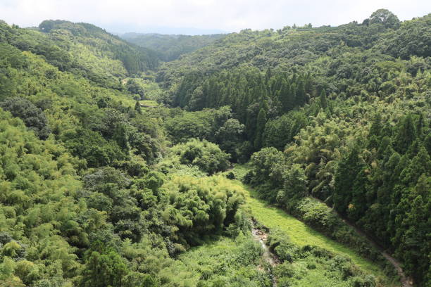 Japanese mountain and town landscape
