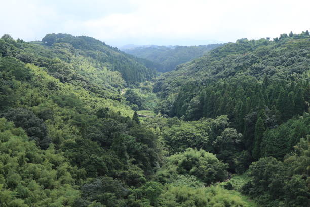 istock Japanese mountain and town landscape 1263066604