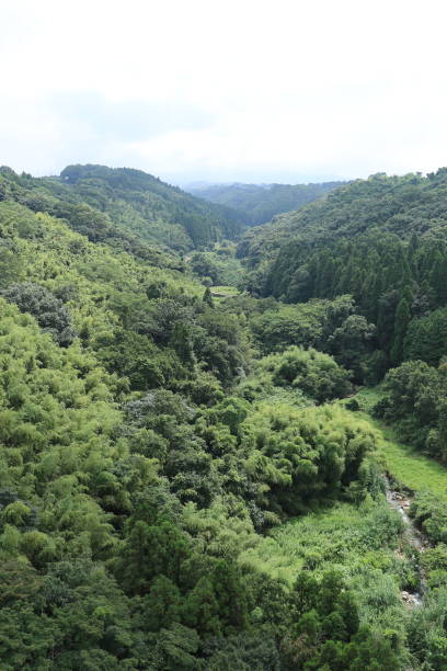 istock Japanese mountain and town landscape 1263066621