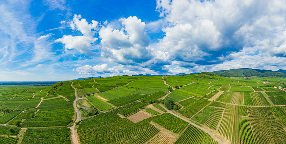 Landscape near Santa Giustina and Sedico, in Belluno province, Veneto, Italy, at summer