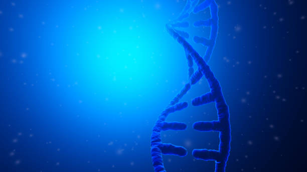 istock 3D rendered Illustration of a DNA Helix 1263069652