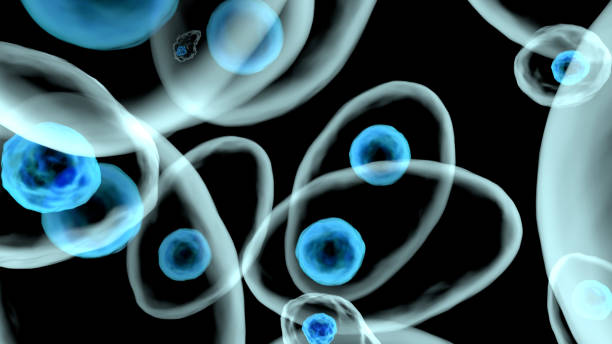 ilustração 3d de células vivas sob o microscópio - cytoblast - fotografias e filmes do acervo