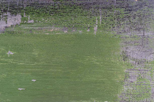 istock Painted green and grey wood texture with natural pattern. Rustic shabby floor material. Closeup. Material design. 1263073361