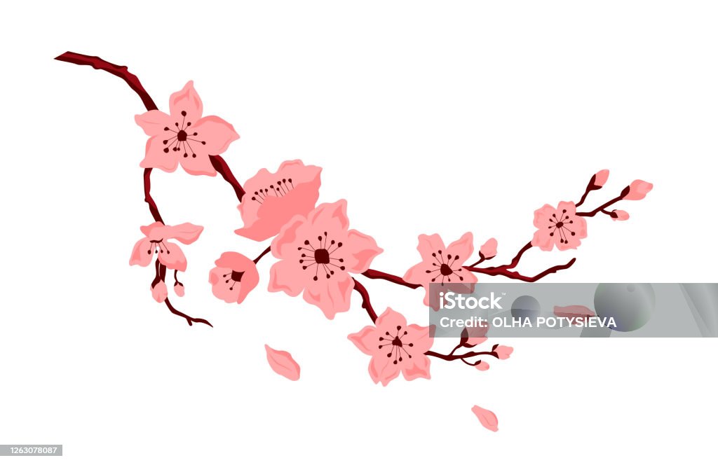 Ilustración de Flor De Sakura Rama De Cerezo Con Flores Y Cogollos Pétalos  Cayendo y más Vectores Libres de Derechos de Flor - iStock