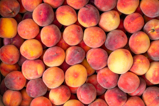 istock Background and texture of ripe peaches. Fruit harvest. 1263078810