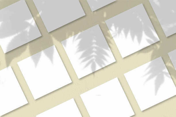 istock Several square sheets of white textured paper against a yellow wall background. Natural light casts shadows from an exotic plant. Flat lay, top view 1263079635