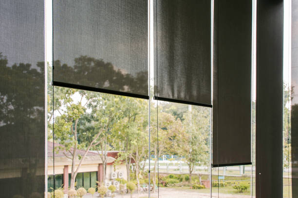 istock Green view beside window in office 1263080862