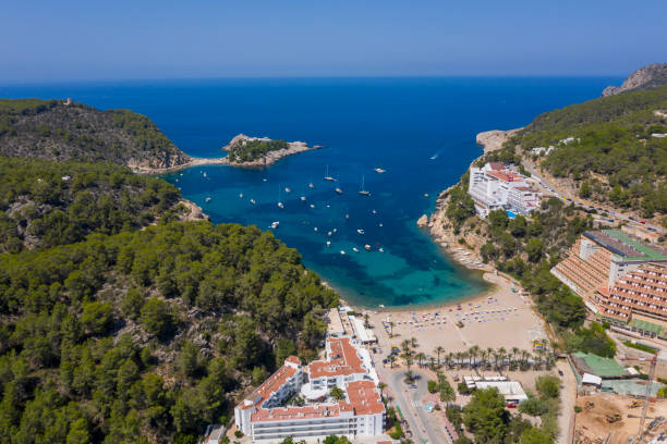 istock Sunny summer day in Ibiza 1263082542