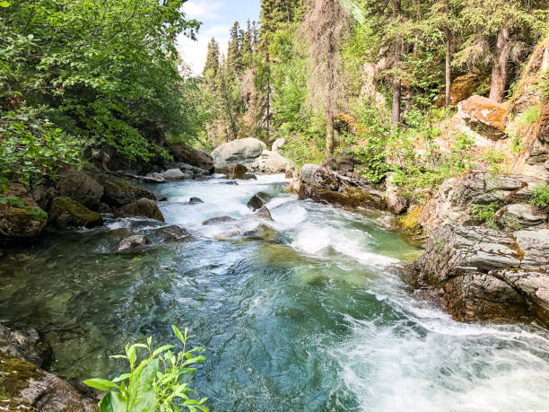 istock The Beauty of Alaska’s Rivers 1263082649