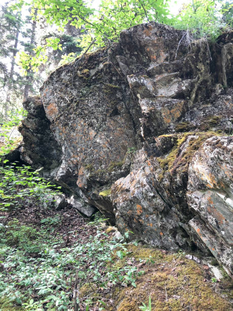 istock Rock Outcropping in Alaska 1263082654