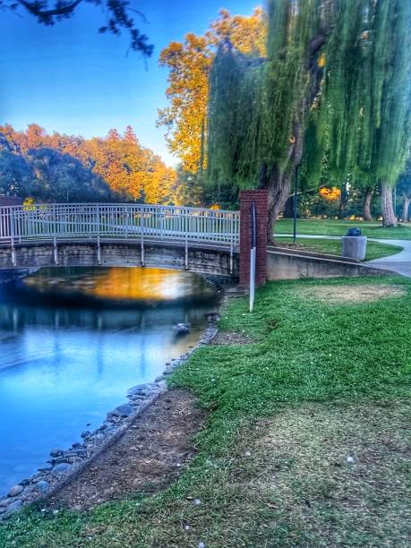 istock A bridge in the park 1263084758