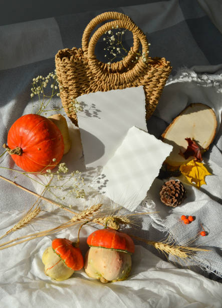 istock Harvest background mock up concept with copy space paper, pumpkins 1263085086
