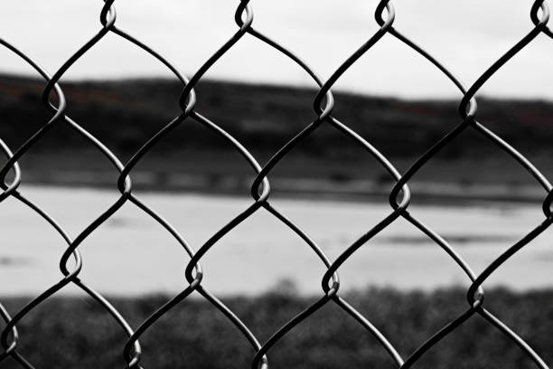 A black and white iron steel net cage