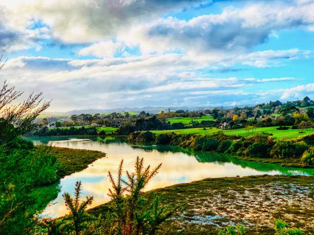 Mangemangeroa Reserve, Auckland