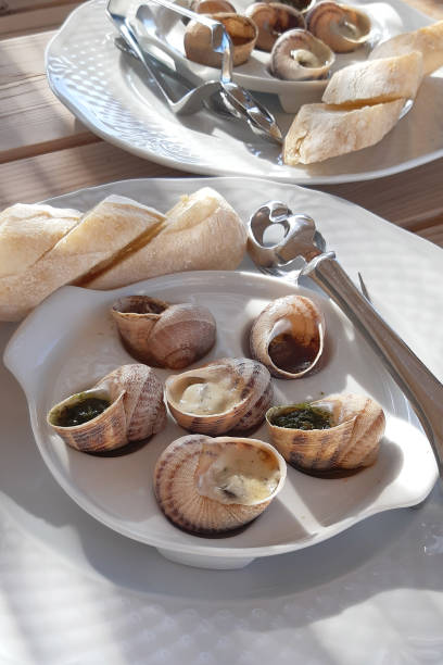 istock A plate with cooked snails on wooden table. 1263094169
