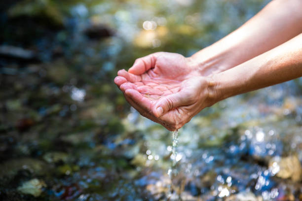 istock Female hands holding clean water above cold mountain river 1263094757