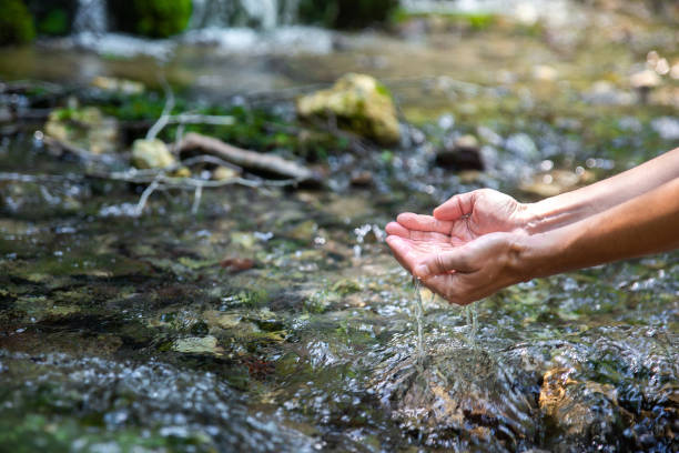 istock Female hands holding pure clear water from the mountain river 1263094790