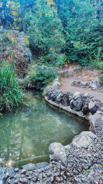 istock Picturesque Foros Park 1263099037