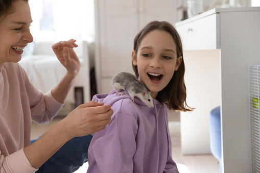 Overjoyed mother and teenage daughter having fun, playing with cute rat, family enjoying leisure time with pet together, little curious rodent sitting on laughing teen girl shoulder