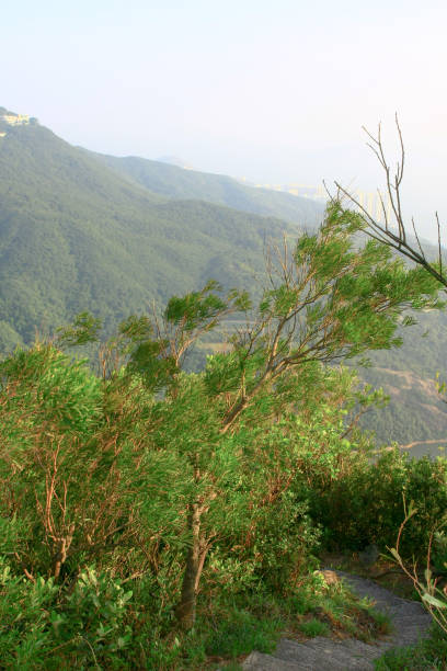istock 11 oct 2008  the Mount High West at hong kong 1263101930