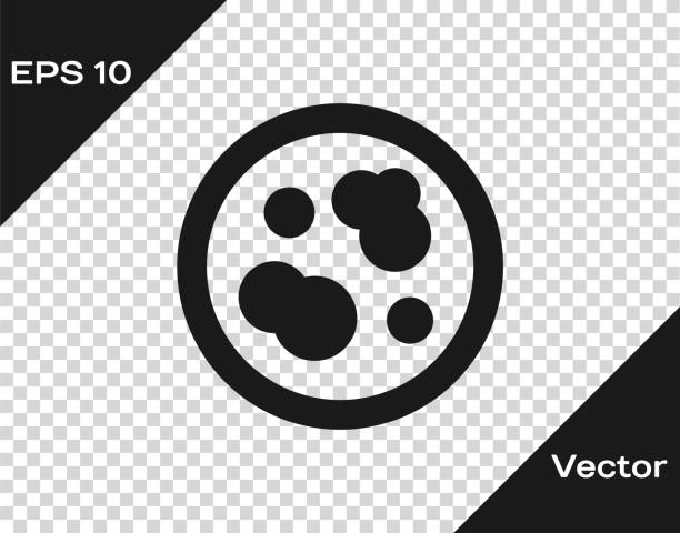 czarna płytka petriego z ikoną bakterii wyizolowana na przezroczystym tle. ilustracja wektorowa - petri dish bacterium cell virus stock illustrations
