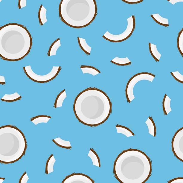 Coconut Coconut. Seamless Vector Patterns on Isolated Background coconut palm tree stock illustrations