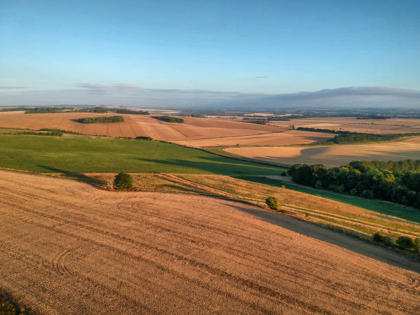 istock The Ridgeway, Oxfordshire sunrise 1 August 2020 1263103450