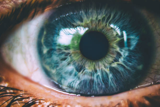 macro blue eye - close up of iris imagens e fotografias de stock