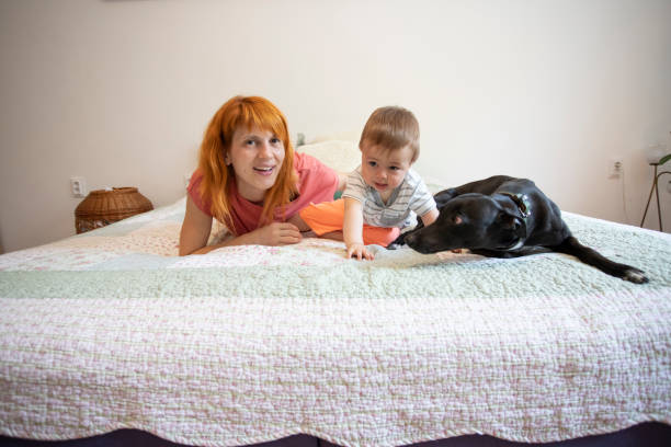 istock Mother playing with her  son and their dog 1263105155