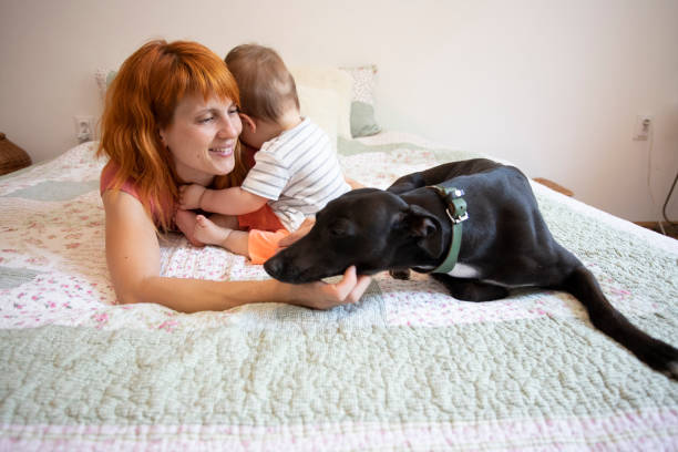 istock Mother playing with her  son and their dog 1263105157