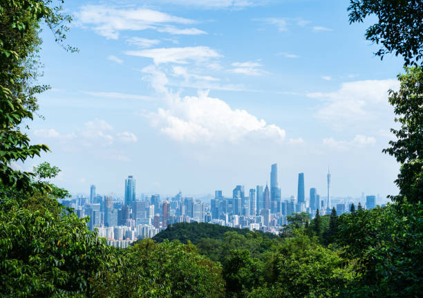 istock Guangzhou skyline from Baiyun moutain top 1263109008